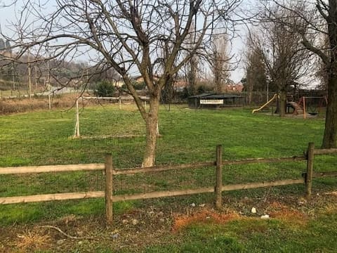 Photo of the lot 5