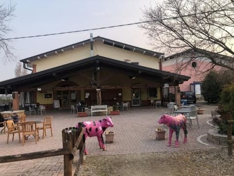 Photo of the lot 6