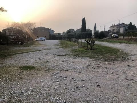 Photo of the lot 8