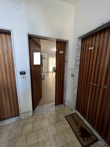 Photo of the lot 2