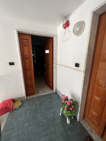 Photo of the lot 2