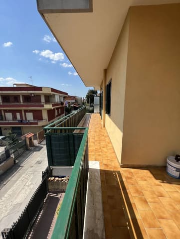 Photo of the lot 2