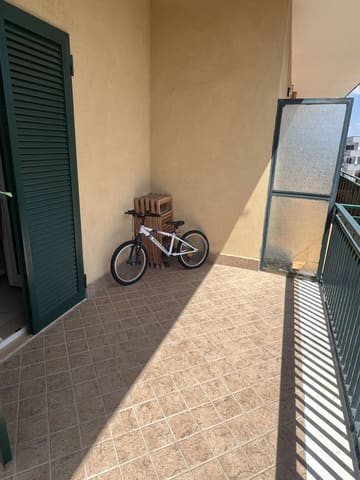 Photo of the lot 8
