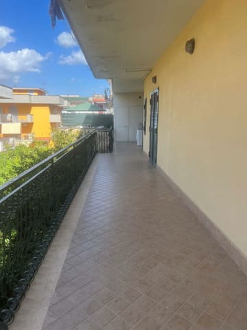 Photo of the lot 4