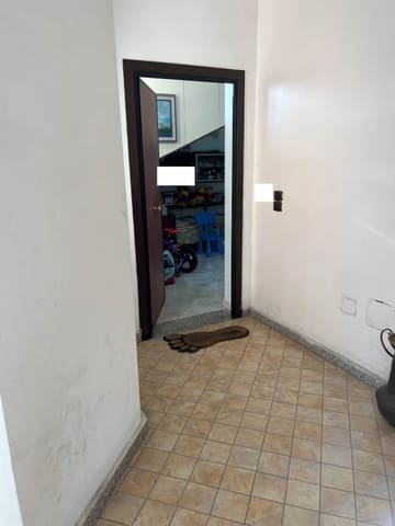 Photo of the lot 3