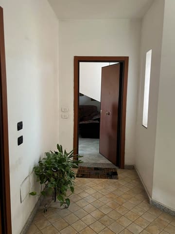 Photo of the lot 2