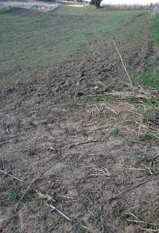 Photo: Altra categoria in Calascibetta (EN)