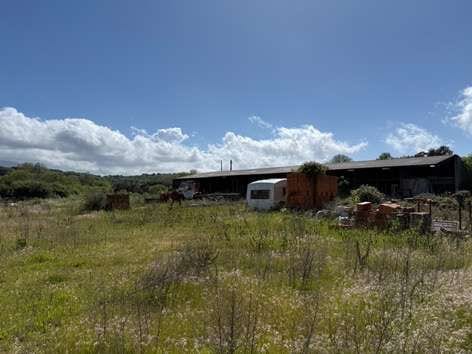 Photo of the lot: Altra categoria in Tempio Pausania