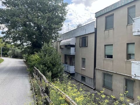 Photo of the lot 2