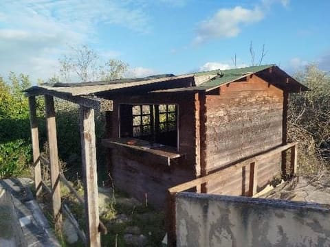 Foto del lotto 1