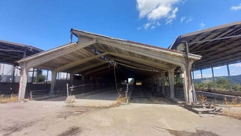 Photo: Altra categoria in Pavullo nel Frignano (MO)