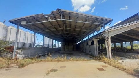 Photo: Altra categoria in Pavullo nel Frignano (MO)
