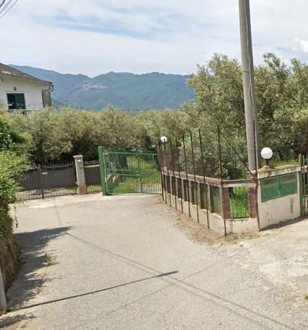 Photo of the lot 2