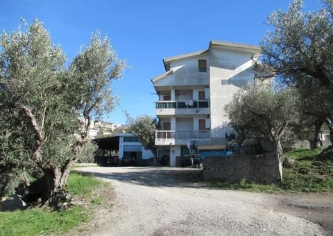 Photo of the lot 4