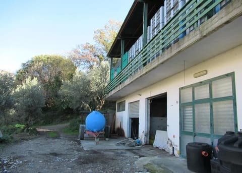 Photo of the lot 5