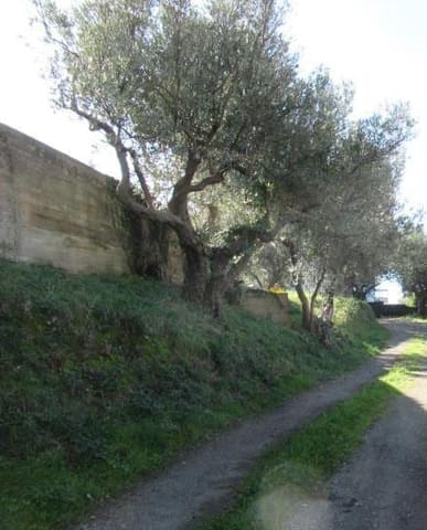 Photo of the lot 7