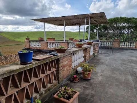 Photo of the lot 5