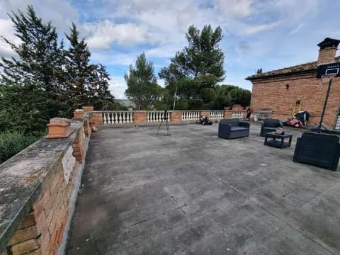 Photo of the lot 6