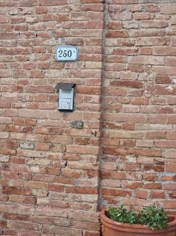 Photo of the lot 9