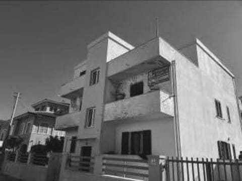 Photo of the lot 2