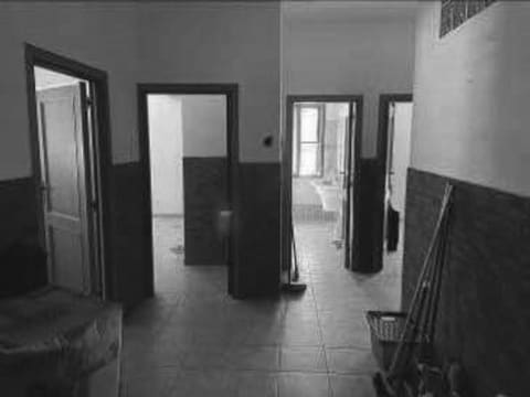 Photo of the lot 5