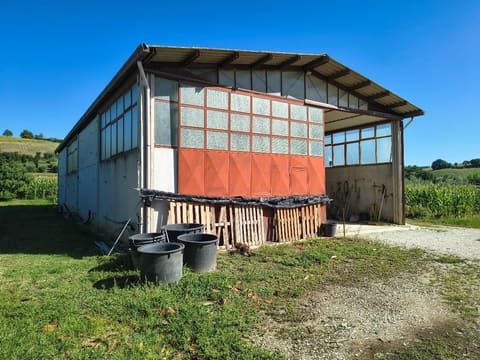 Photo: Immobile industriale in Montegiorgio (FM)