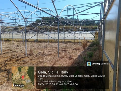 Photo: Altra categoria in Gela (CL)