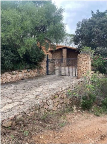 Photo of the lot 3