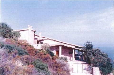 Photo of the lot 4