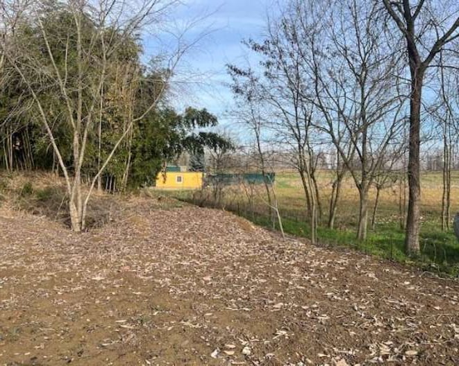 Foto del lotto: Altra categoria a Borgo Virgilio