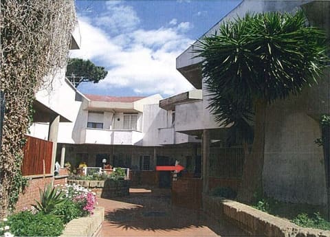 Photo of the lot 5