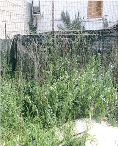 Photo of the lot 7