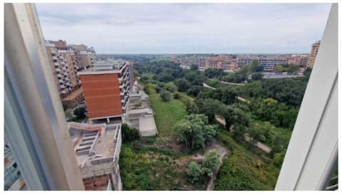 Photo of the lot 3