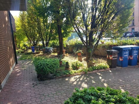 Photo of the lot 2