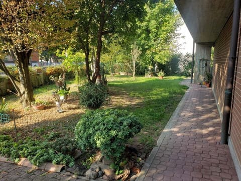 Photo of the lot 4