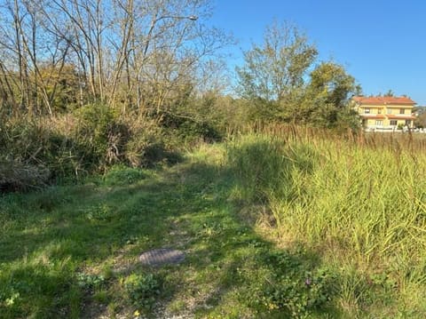 Photo: Altra categoria in Colli al Metauro (PU)