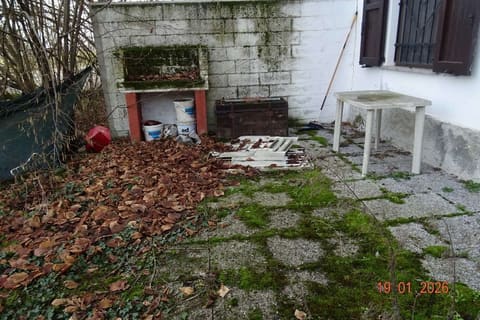 Photo of the lot 2