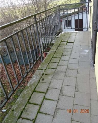 Photo of the lot 3
