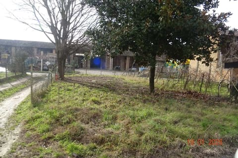 Photo of the lot 4