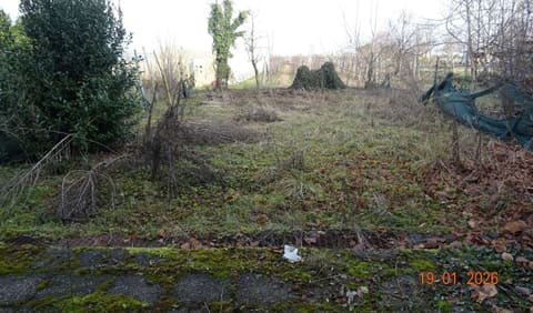 Photo of the lot 5