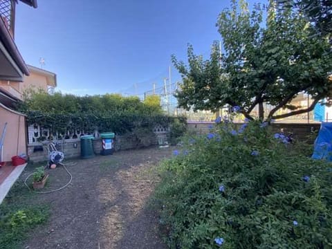 Photo of the lot 4