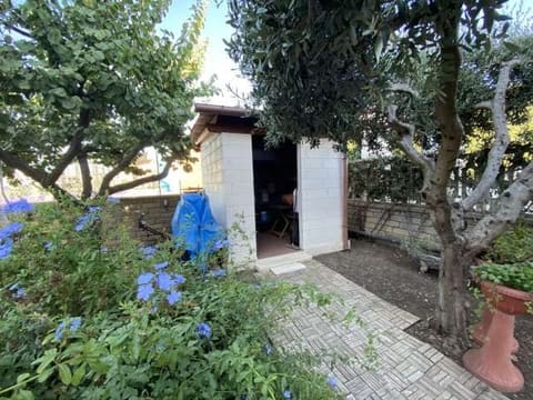 Photo of the lot 5