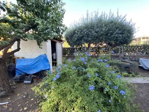 Photo of the lot 6