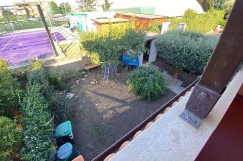 Photo of the lot 8