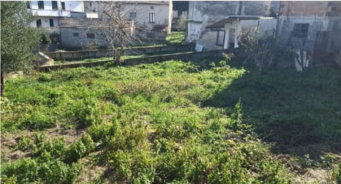 Photo: Immobile residenziale in Atena Lucana (SA)