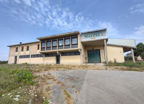 Foto del lotto 1