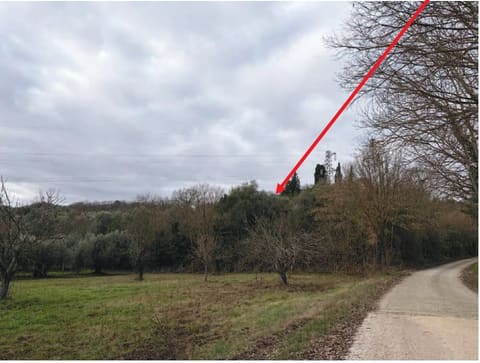Photo of the lot 1