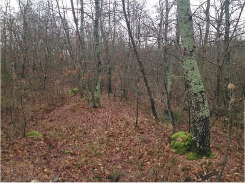 Photo of the lot 6