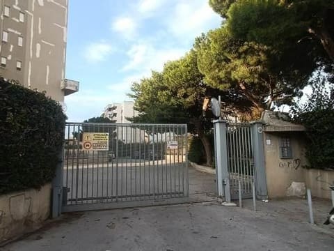 Photo of the lot 2