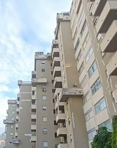 Photo of the lot 4